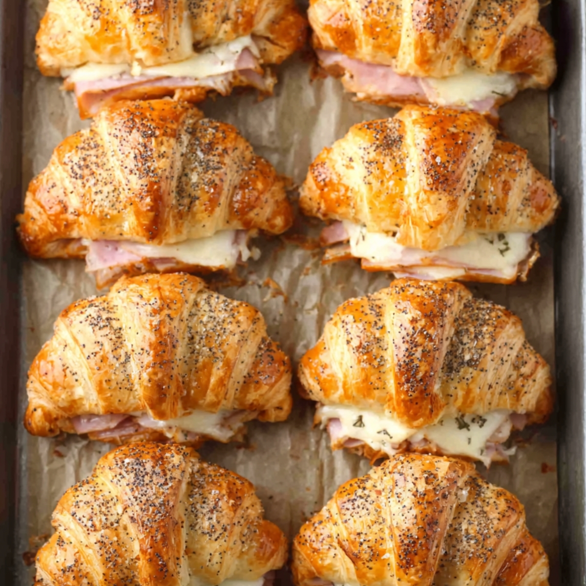 Tray of baked ham and cheese croissants topped with poppy seeds.